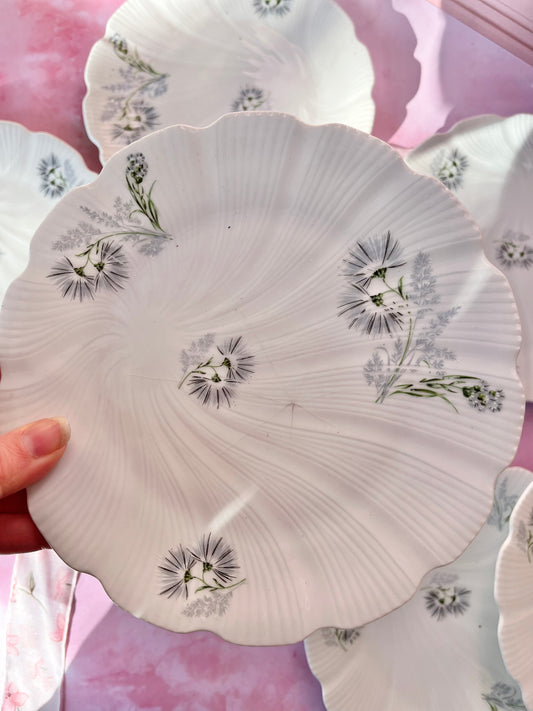 Assiettes à dessert Limoges (9)