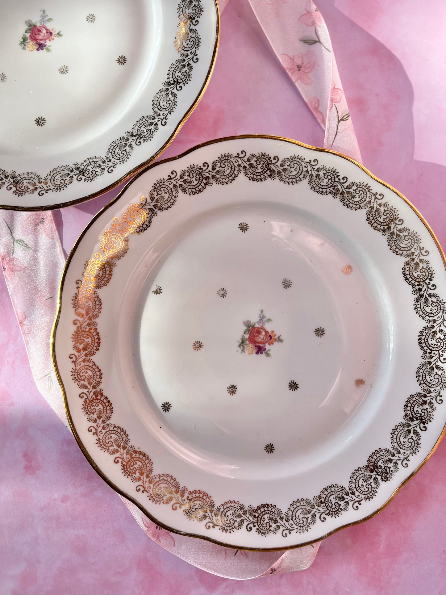 Assiettes plates Rosemonde (2)