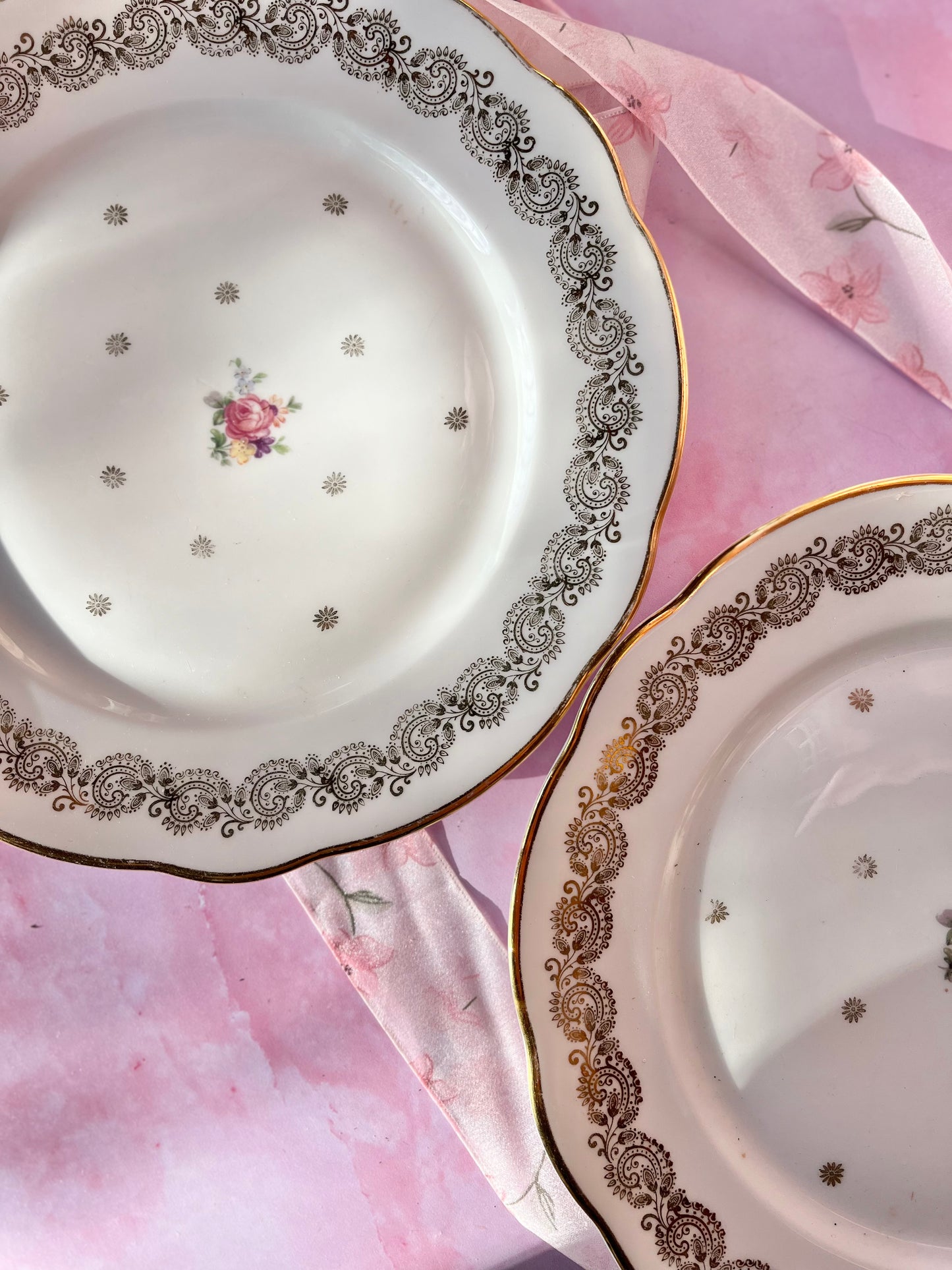 Assiettes plates Rosemonde (2)