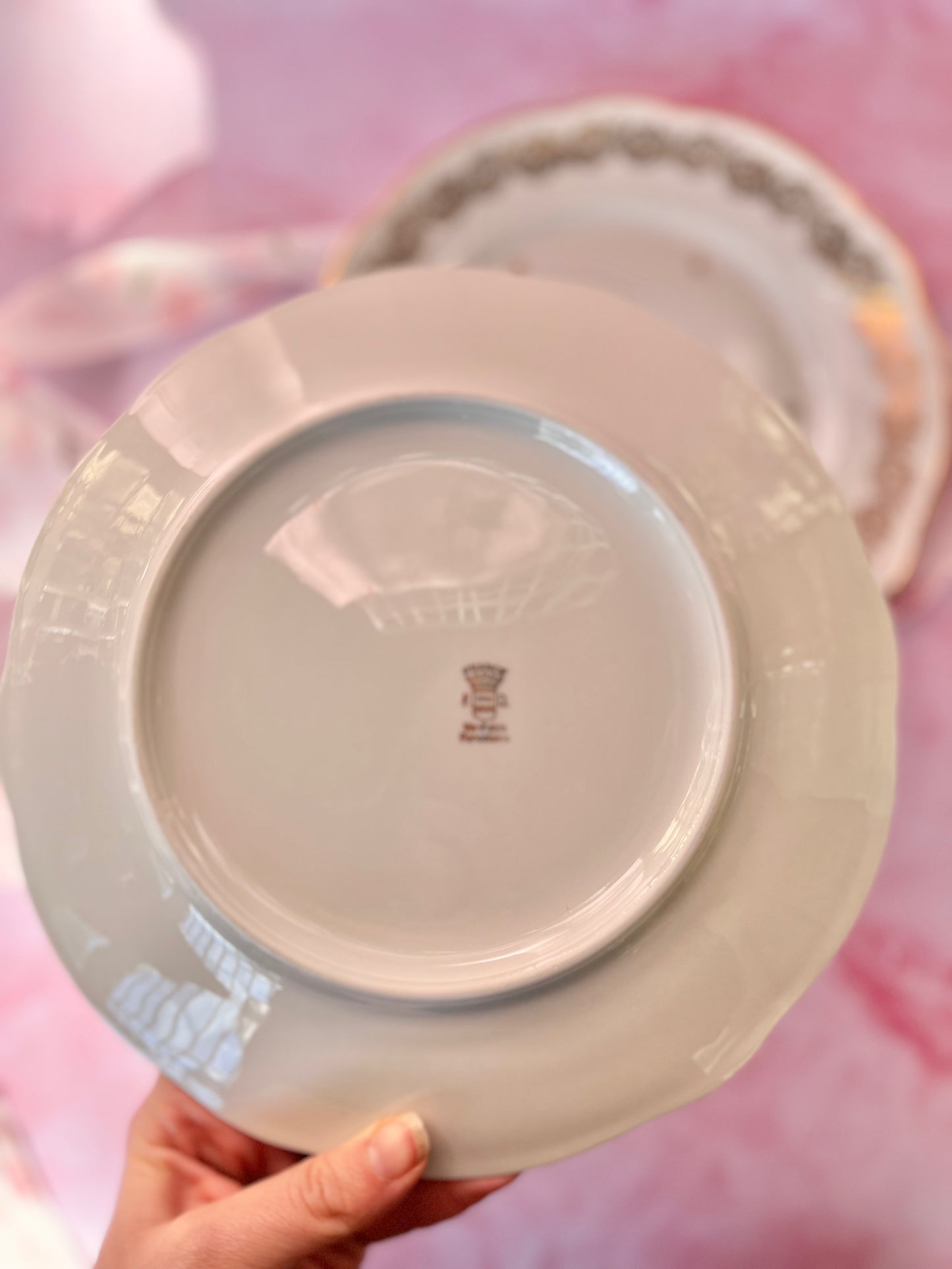 Assiettes plates Rosemonde (2)