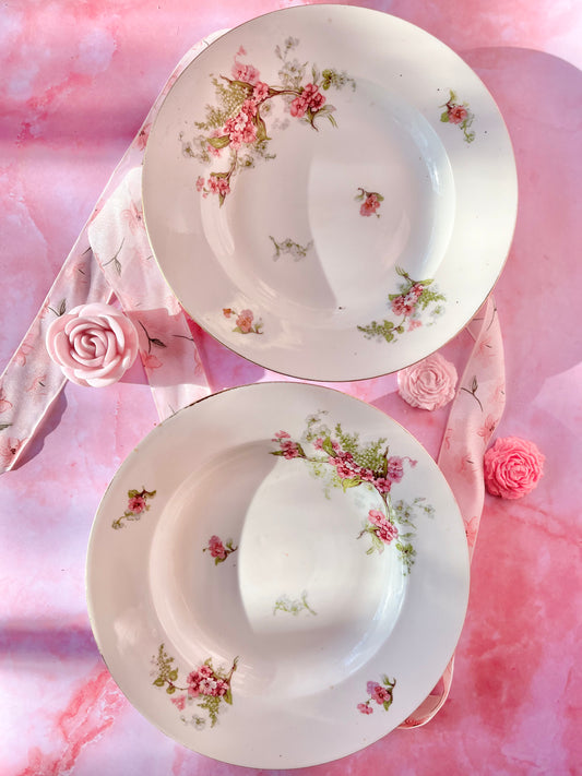 Assiettes creuses Limoges Rosa (2)