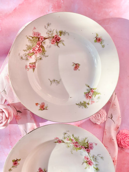 Assiettes creuses Limoges Rosa (2)