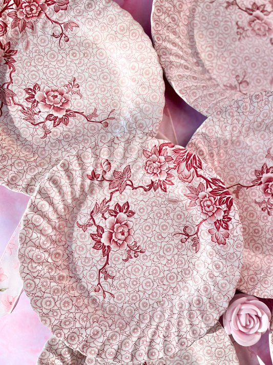 Assiettes Johnson Brothers (6)