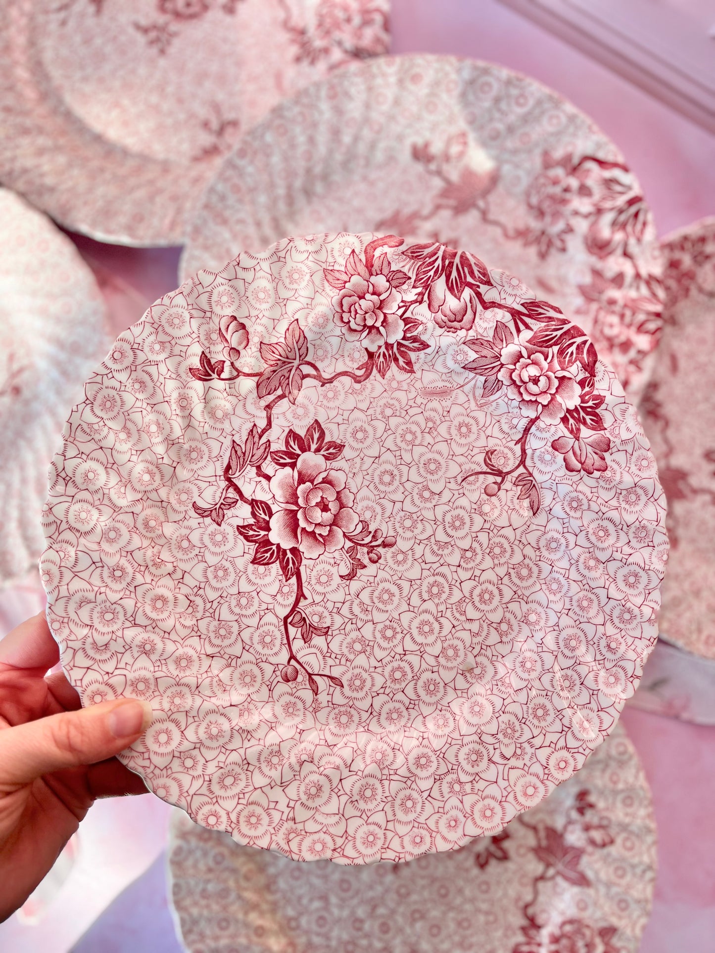 Assiettes Johnson Brothers (6)