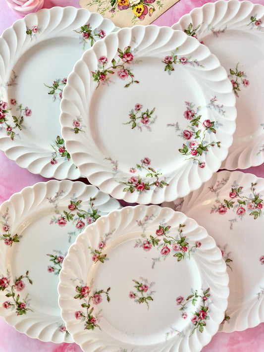 Assiettes plates Sylvie (6)