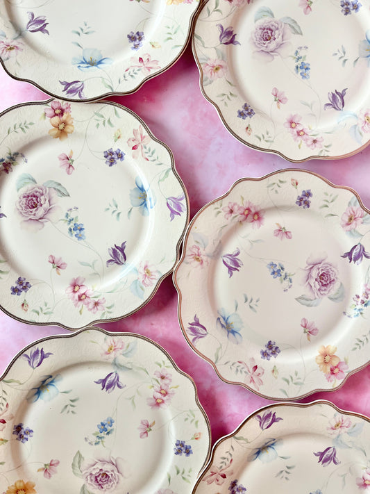 Assiettes plates Iris (6)