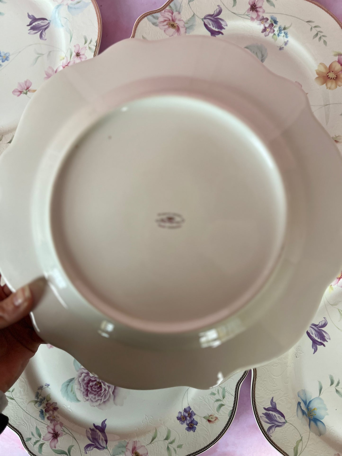 Assiettes plates Iris (6)