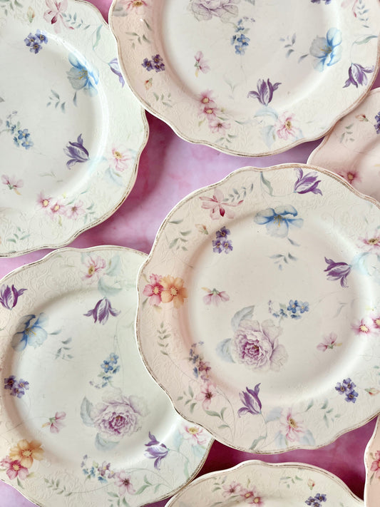 Assiettes à dessert Iris (7)