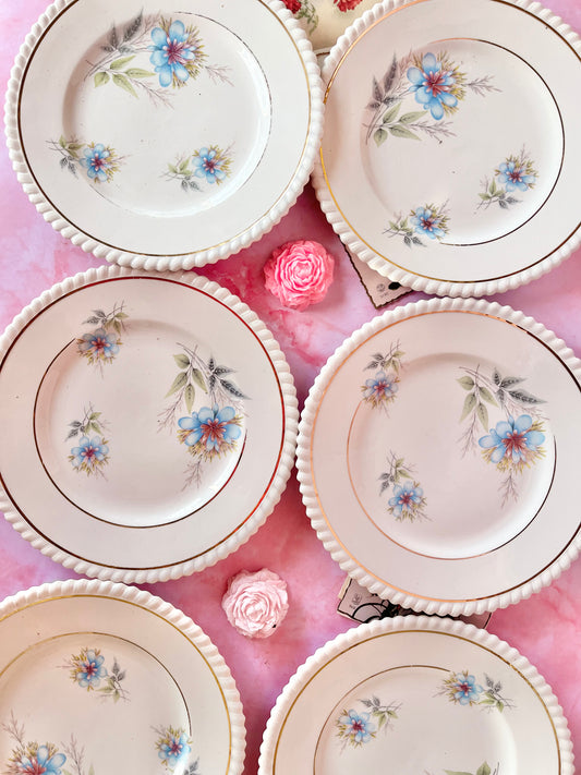 Assiettes à dessert Chambéry (6)