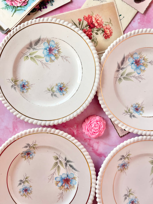 Assiettes à dessert Chambéry (6)