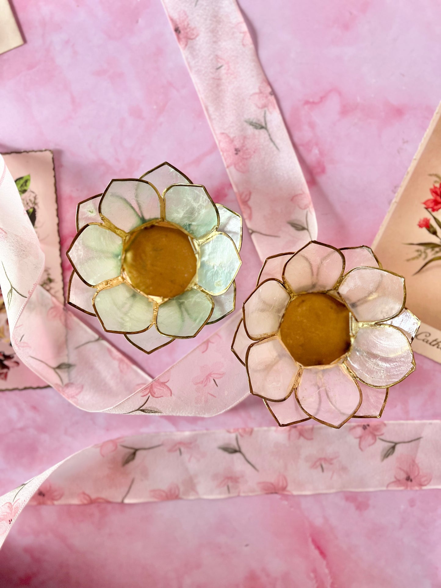 Photophores lotus nacre (2)