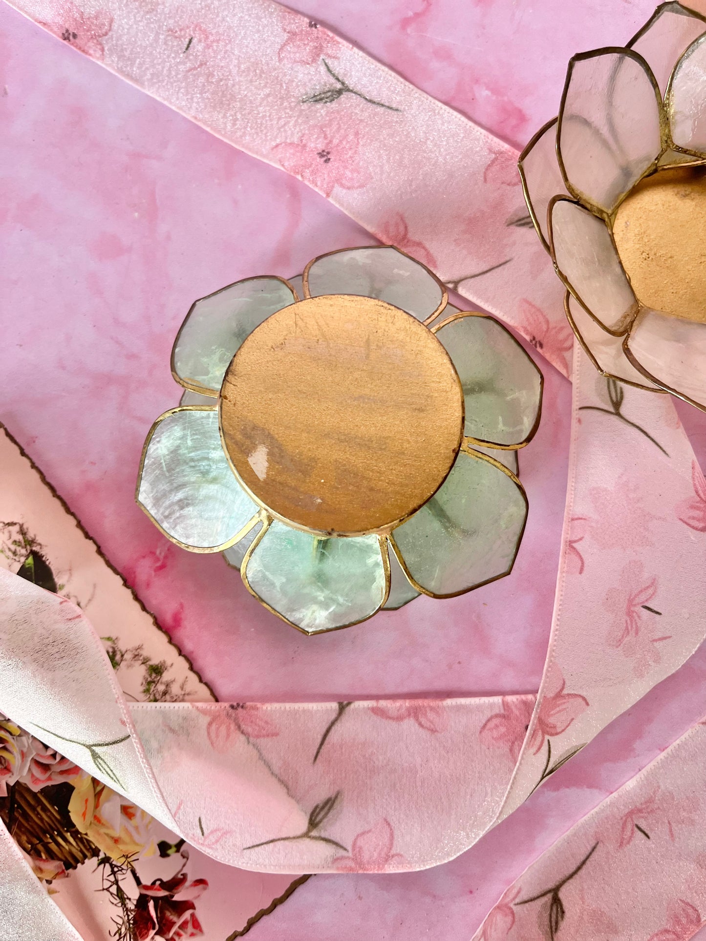 Photophores lotus nacre (2)